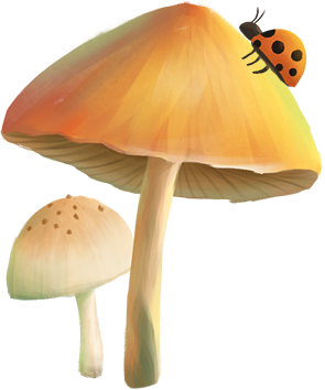 蘑菇@2x.png