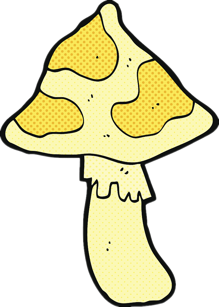 t01b69097db2705d74e.png