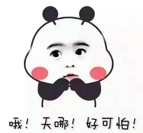在玻璃天桥上吓得腿软
