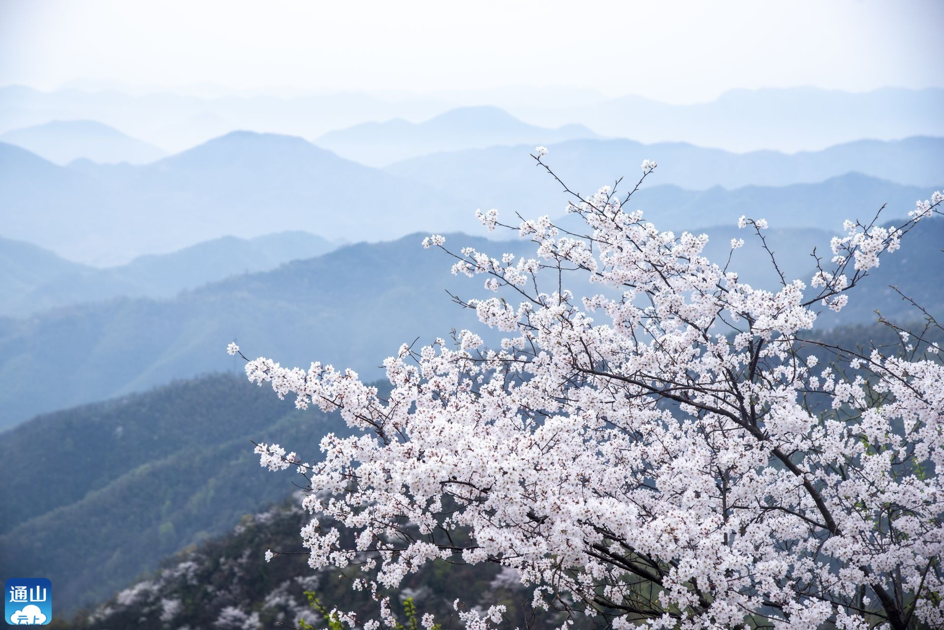 通山县有什么好玩的地方景点推荐？通山县十大旅游景点排名-湖北省通山县旅游攻略必去一日游有哪些免费景点(图1)