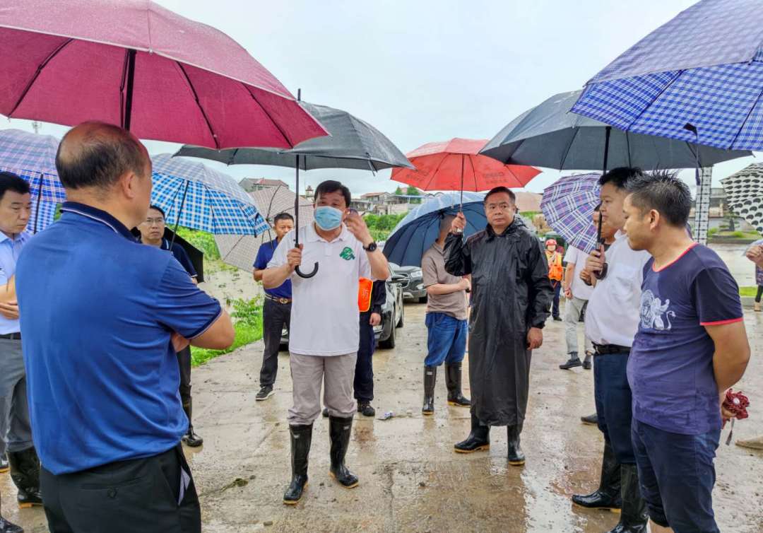 通山县人民政府门户网站-【图文】全力以赴!通山干群