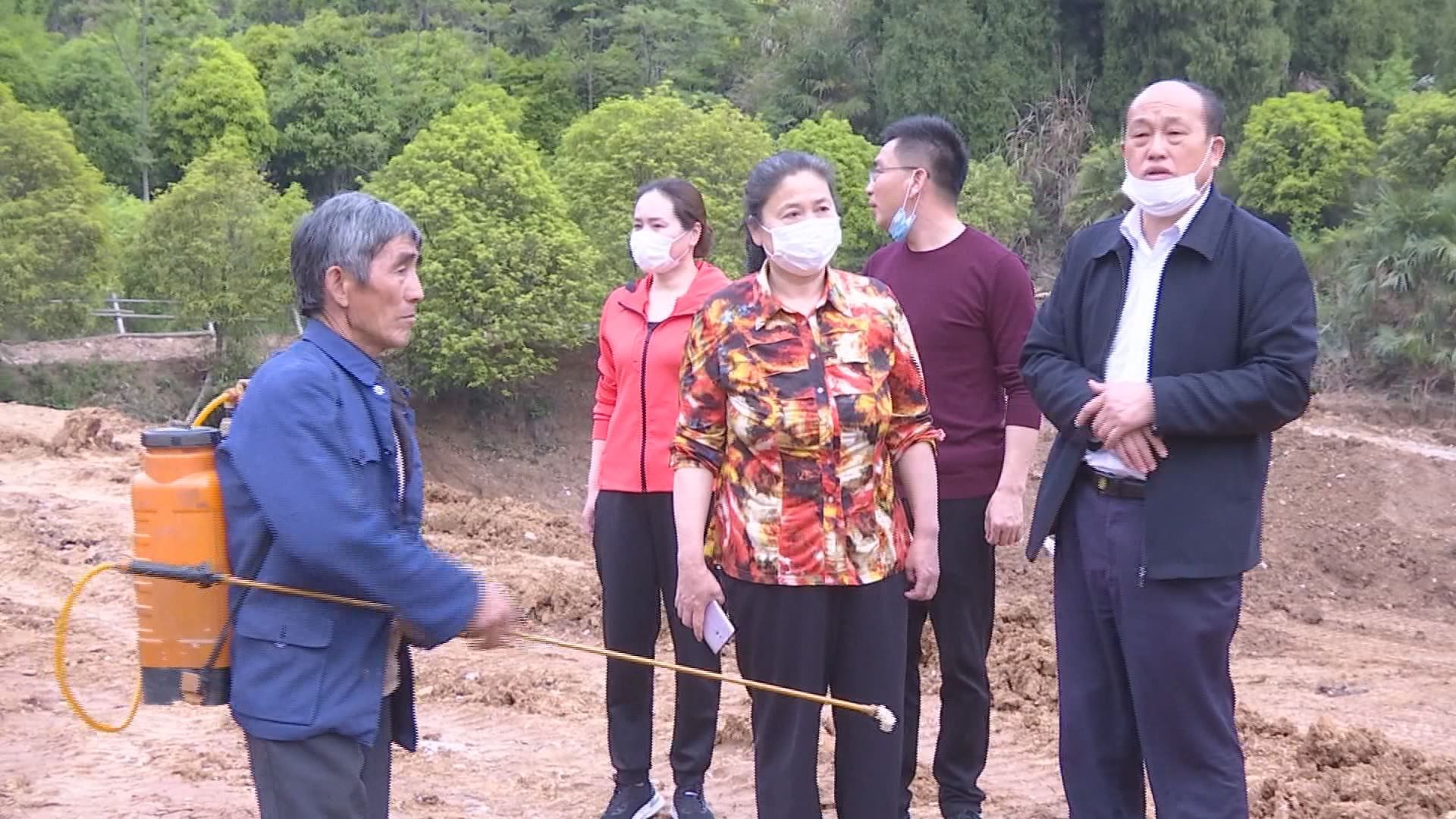 副主任徐丽华参加检查.
