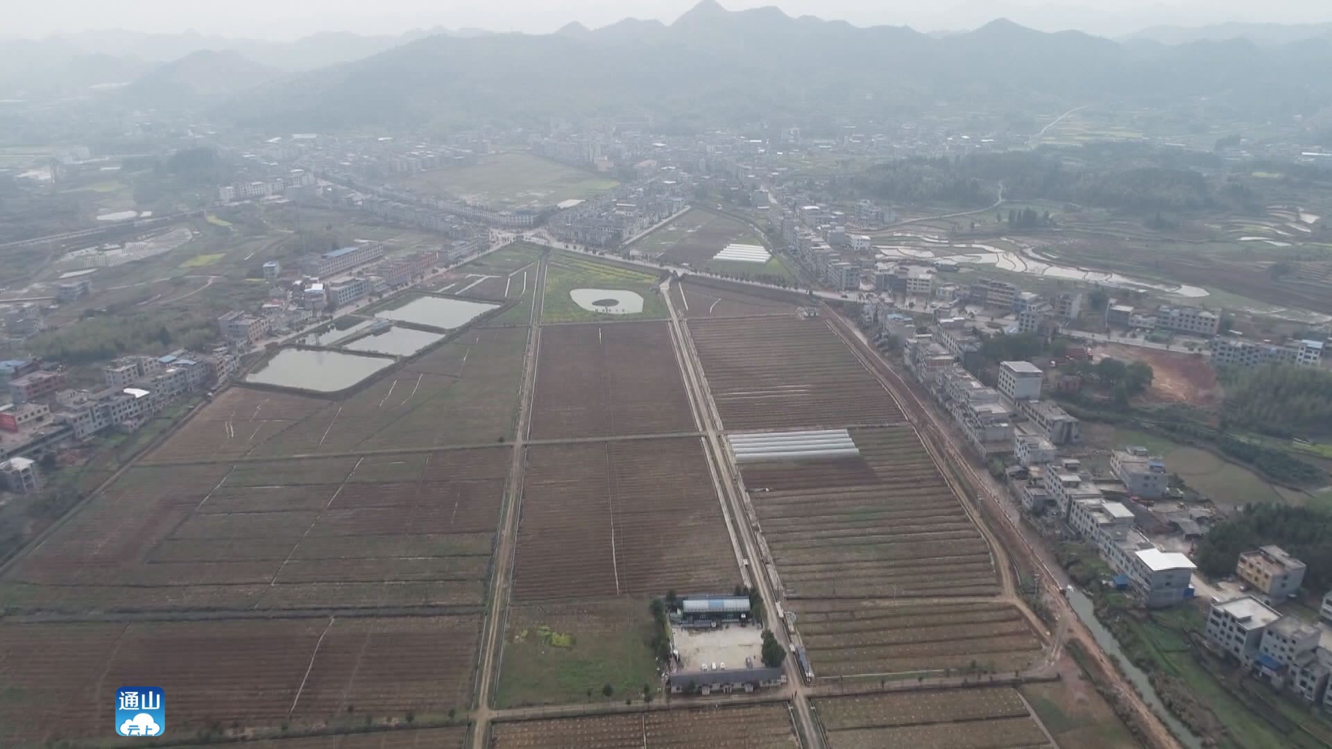 【三级书记谈脱贫攻坚】南林桥镇大坪村:壮大集体经济 提高产业覆盖